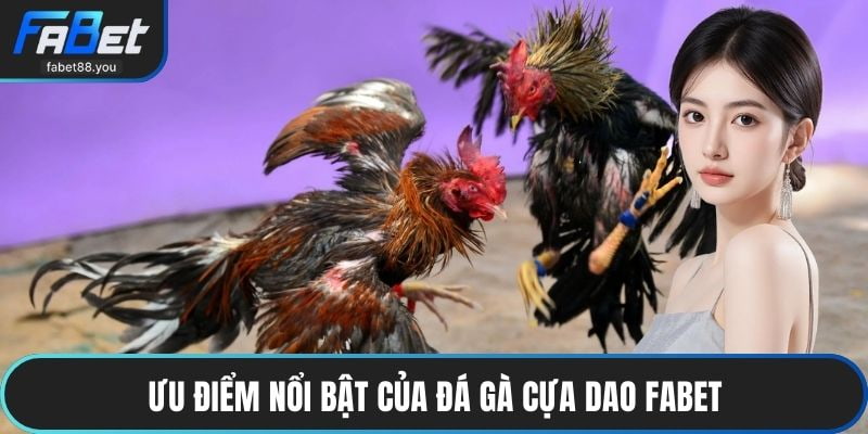 Ưu điểm nổi bật của đá gà cựa dao FABET